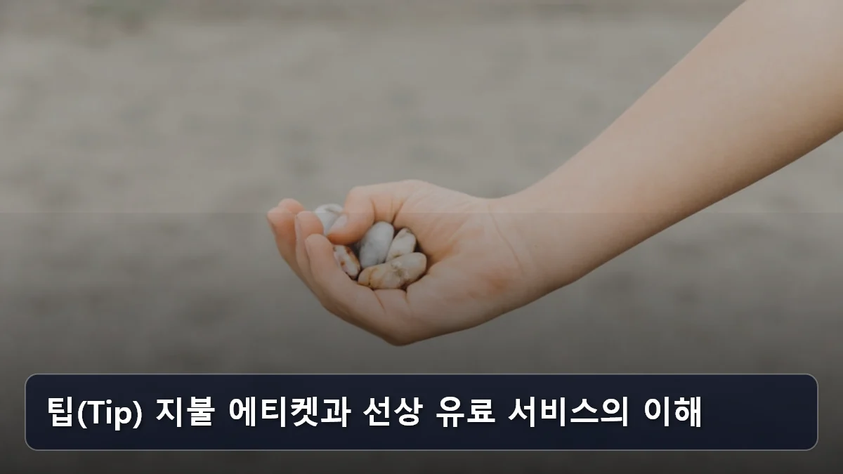 팁(Tip) 지불 에티켓과 선상 유료 서비스의 이해 관련 이미지