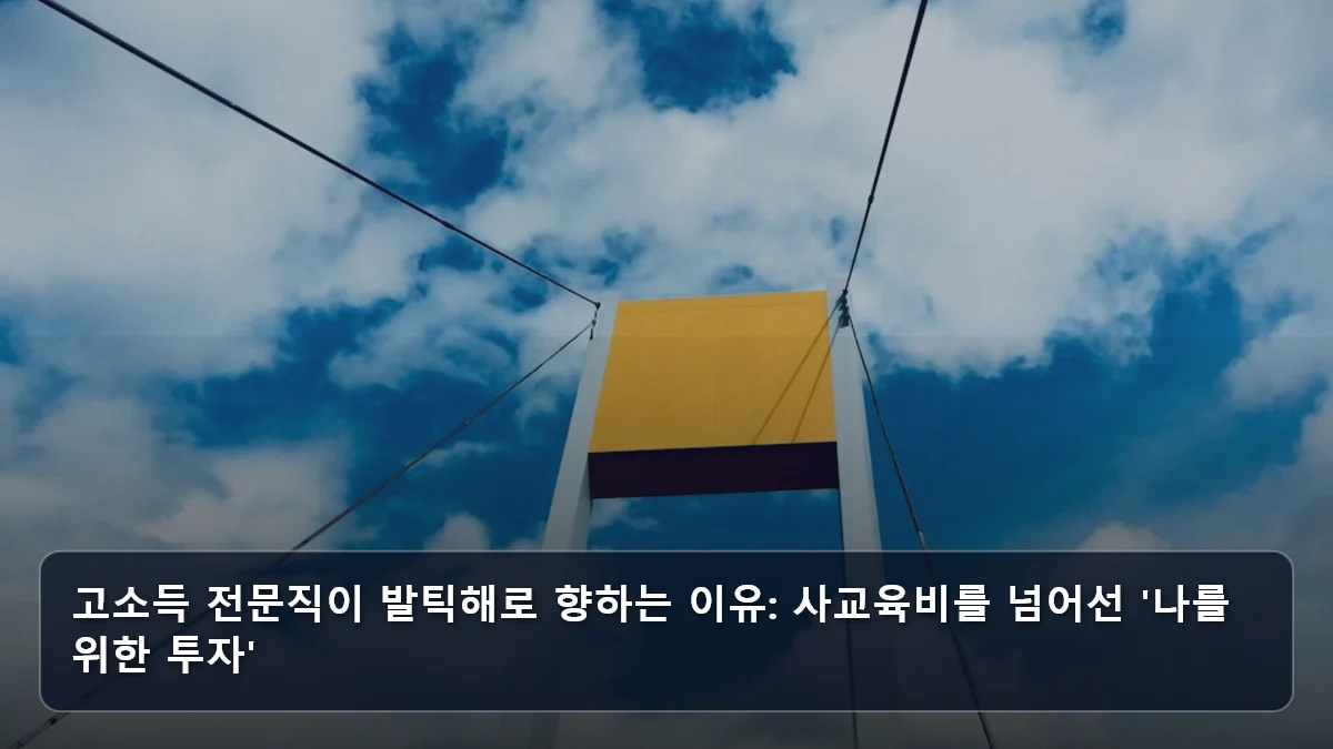 고소득 전문직이 발틱해로 향하는 이유: 사교육비를 넘어선 '나를 위한 투자' 관련 이미지